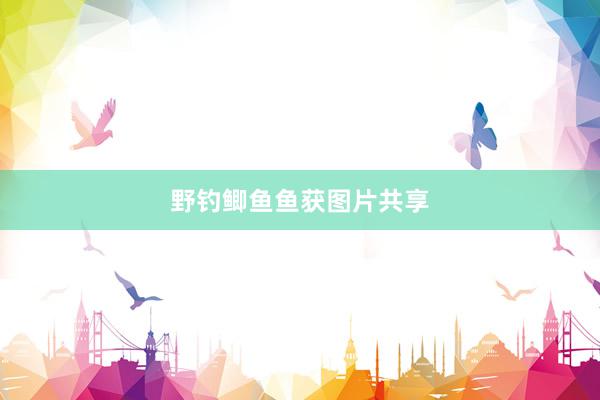 野钓鲫鱼鱼获图片共享